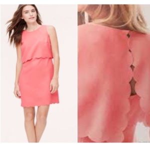 Pink Loft Dress Petite